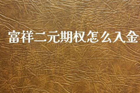 富祥二元期权怎么入金_https://www.gongyisiwang.com_道指_第1张