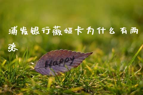 浦发银行薇娅卡为什么有两张_https://www.gongyisiwang.com_股指期货交易手续费_第1张