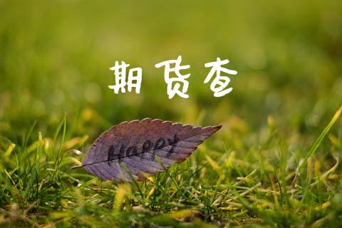 期货查_https://www.gongyisiwang.com_期货公司手续费排名_第1张