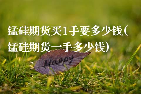 锰硅期货买1手要多少钱(锰硅期货一手多少钱)_https://www.gongyisiwang.com_广发期货手续费_第1张
