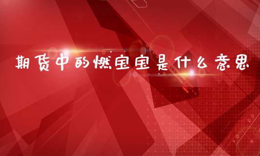 期货中的燃宝宝是什么意思_https://www.gongyisiwang.com_原油期货_第1张