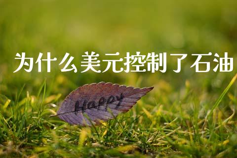为什么美元控制了石油_https://www.gongyisiwang.com_道指_第1张