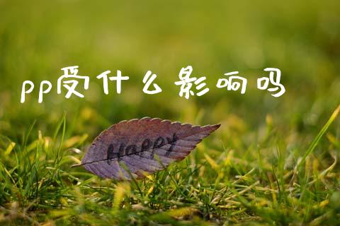 pp受什么影响吗_https://www.gongyisiwang.com_焦炭期货手续费_第1张