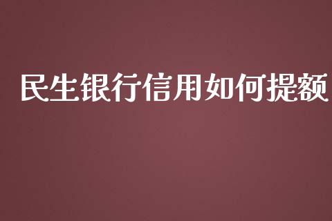 民生银行信用如何提额_https://www.gongyisiwang.com_广发期货手续费_第1张