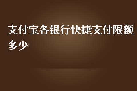 支付宝各银行快捷支付限额多少_https://www.gongyisiwang.com_道指_第1张