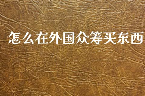 怎么在外国众筹买东西_https://www.gongyisiwang.com_股指期货交易手续费_第1张