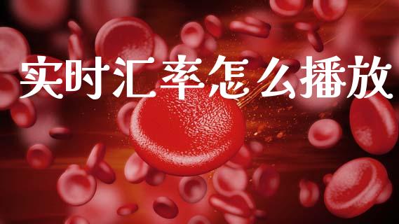 实时汇率怎么播放_https://www.gongyisiwang.com_焦炭期货手续费_第1张