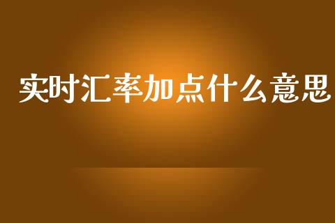 实时汇率加点什么意思_https://www.gongyisiwang.com_股指期货交易手续费_第1张