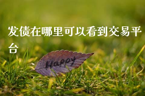 发债在哪里可以看到交易平台_https://www.gongyisiwang.com_股指期货_第1张