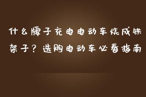 什么牌子充电电动车烧成铁架子？选购电动车必看指南_https://www.gongyisiwang.com_期货公司手续费排名_第1张
