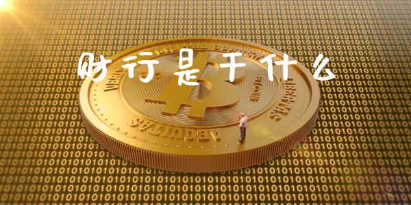 财行是干什么_https://www.gongyisiwang.com_股指期货交易手续费_第1张