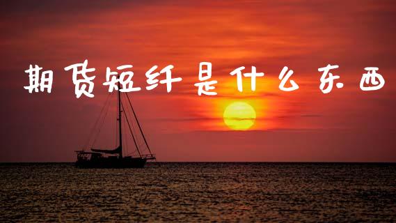 期货短纤是什么东西_https://www.gongyisiwang.com_焦炭期货手续费_第1张