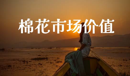 棉花市场价值_https://www.gongyisiwang.com_恒指期货_第1张