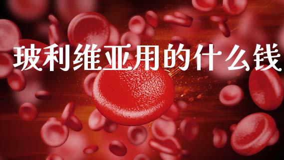 玻利维亚用的什么钱_https://www.gongyisiwang.com_期货公司手续费排名_第1张