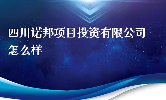 四川诺邦项目投资有限公司怎么样_https://www.gongyisiwang.com_焦炭期货手续费_第1张