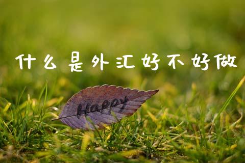 什么是外汇好不好做_https://www.gongyisiwang.com_道指_第1张
