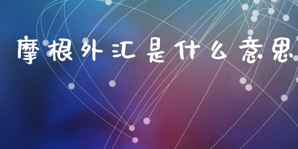 摩根外汇是什么意思_https://www.gongyisiwang.com_股指期货交易手续费_第1张