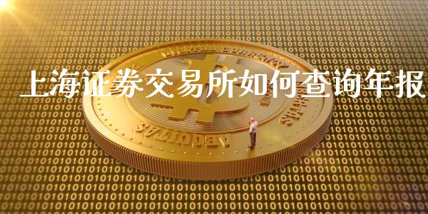 上海证券交易所如何查询年报_https://www.gongyisiwang.com_股指期货交易手续费_第1张