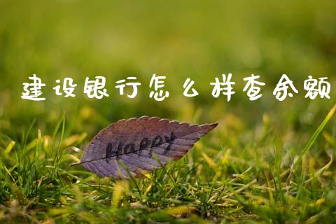建设银行怎么样查余额_https://www.gongyisiwang.com_原油期货_第1张