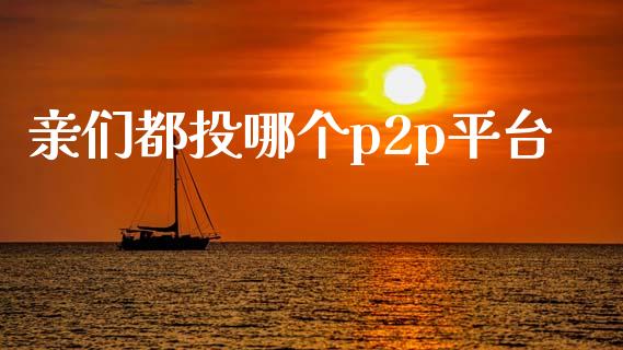 亲们都投哪个p2p平台_https://www.gongyisiwang.com_原油期货_第1张