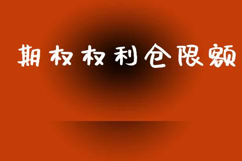期权权利仓限额_https://www.gongyisiwang.com_期货公司手续费排名_第1张