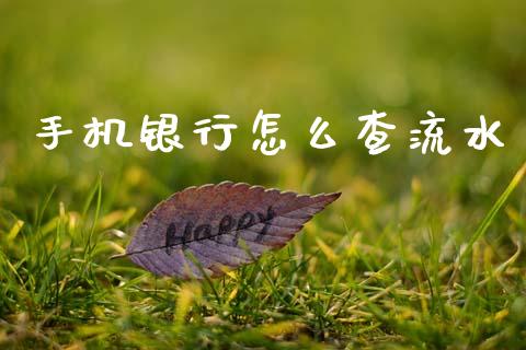 手机银行怎么查流水_https://www.gongyisiwang.com_期货公司手续费排名_第1张