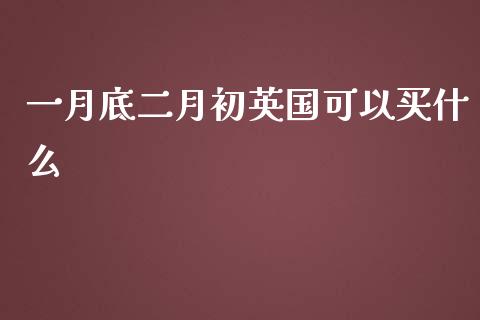 一月底二月初英国可以买什么_https://www.gongyisiwang.com_焦炭期货手续费_第1张