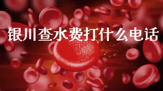 银川查水费打什么电话_https://www.gongyisiwang.com_期货公司手续费排名_第1张