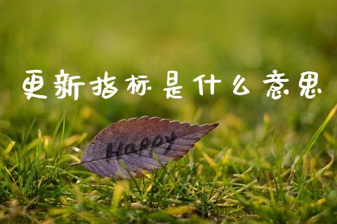 更新指标是什么意思_https://www.gongyisiwang.com_焦炭期货手续费_第1张