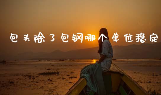 包头除了包钢哪个单位稳定_https://www.gongyisiwang.com_广发期货手续费_第1张