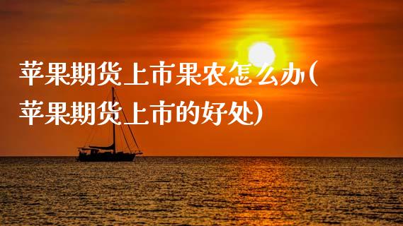 苹果期货上市果农怎么办(苹果期货上市的好处)_https://www.gongyisiwang.com_股指期货交易手续费_第1张