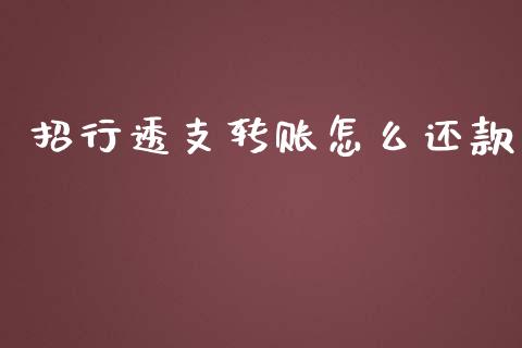 招行透支转账怎么还款_https://www.gongyisiwang.com_道指_第1张