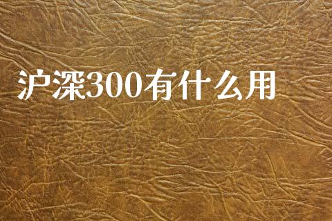 沪深300有什么用_https://www.gongyisiwang.com_股指期货交易手续费_第1张