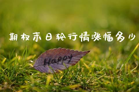 期权末日轮行情涨幅多少_https://www.gongyisiwang.com_期货公司手续费排名_第1张