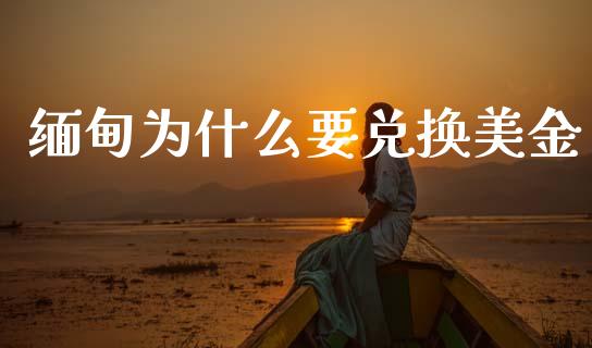 缅甸为什么要兑换美金_https://www.gongyisiwang.com_广发期货手续费_第1张