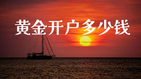 黄金开户多少钱_https://www.gongyisiwang.com_期货公司手续费排名_第1张