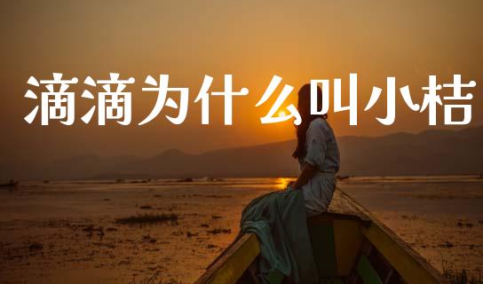 滴滴为什么叫小桔_https://www.gongyisiwang.com_期货公司手续费排名_第1张
