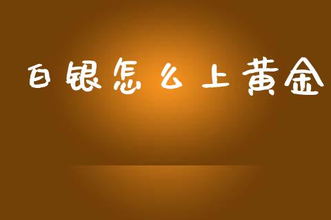 白银怎么上黄金_https://www.gongyisiwang.com_期货公司手续费排名_第1张
