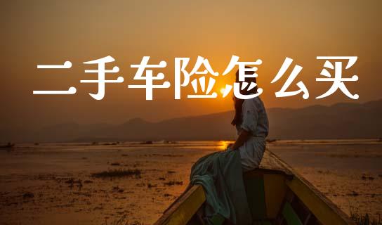 二手车险怎么买_https://www.gongyisiwang.com_期货公司手续费排名_第1张