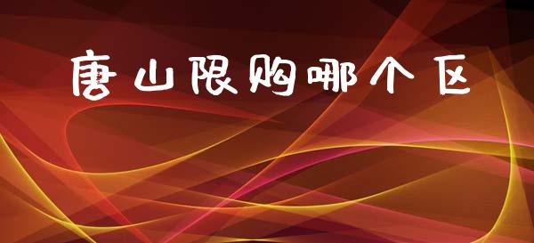 唐山限购哪个区_https://www.gongyisiwang.com_焦炭期货手续费_第1张