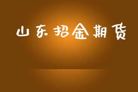 山东招金期货_https://www.gongyisiwang.com_原油期货_第1张