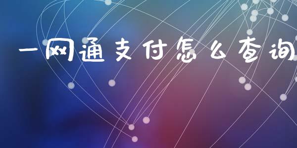 一网通支付怎么查询_https://www.gongyisiwang.com_广发期货手续费_第1张