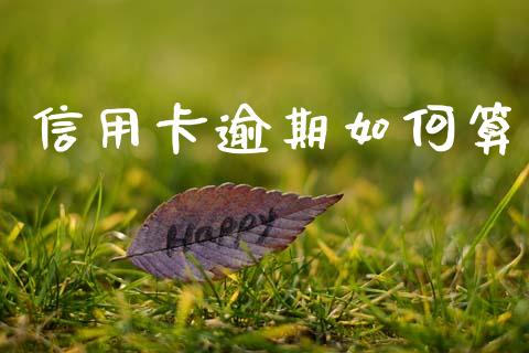 信用卡逾期如何算_https://www.gongyisiwang.com_焦炭期货手续费_第1张