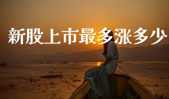新股上市最多涨多少_https://www.gongyisiwang.com_股指期货交易手续费_第1张