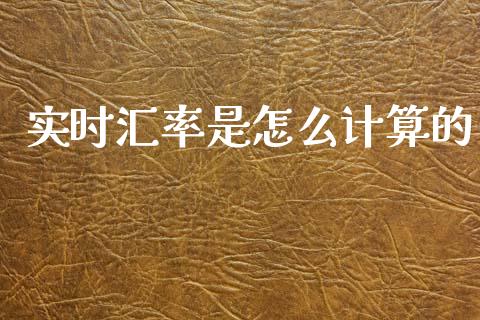 实时汇率是怎么计算的_https://www.gongyisiwang.com_股指期货交易手续费_第1张