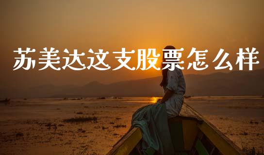 苏美达这支股票怎么样_https://www.gongyisiwang.com_焦炭期货手续费_第1张