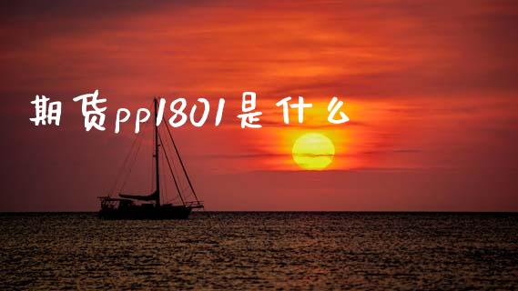 期货pp1801是什么_https://www.gongyisiwang.com_恒指期货_第1张