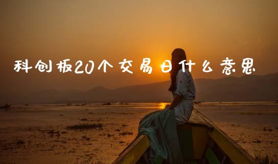 科创板20个交易日什么意思_https://www.gongyisiwang.com_恒指期货_第1张