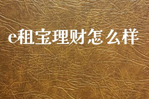 e租宝理财怎么样_https://www.gongyisiwang.com_股指期货交易手续费_第1张