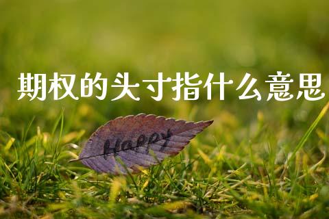 期权的头寸指什么意思_https://www.gongyisiwang.com_原油期货_第1张